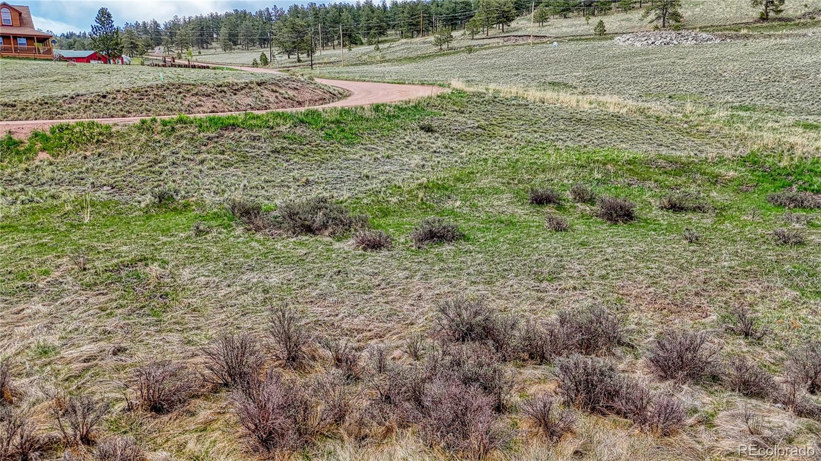 315 Empire Road Florissant, CO 80816 - Photo 20 of 24