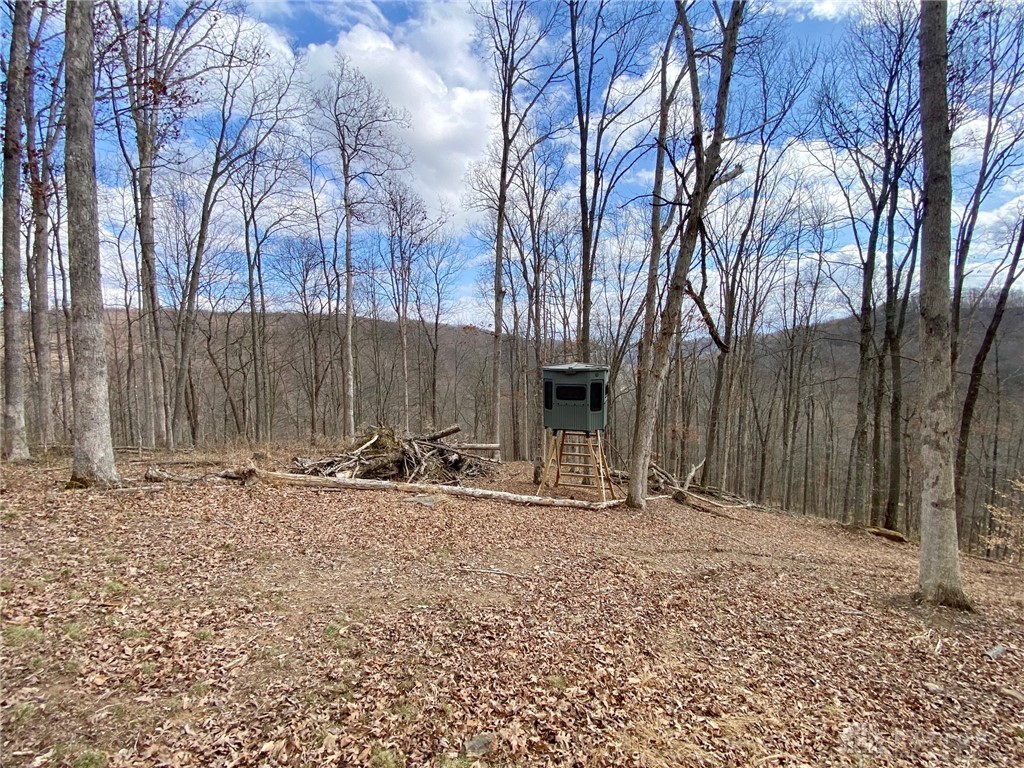 20 Beech Fork Road Lucasville, OH 45648 - Photo 14 of 17