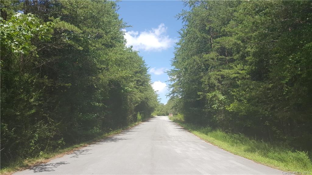 Lot 18 Fox Trail Road, Unit 18 York, SC 29745 - Photo 2 of 3 Gallery Image 2