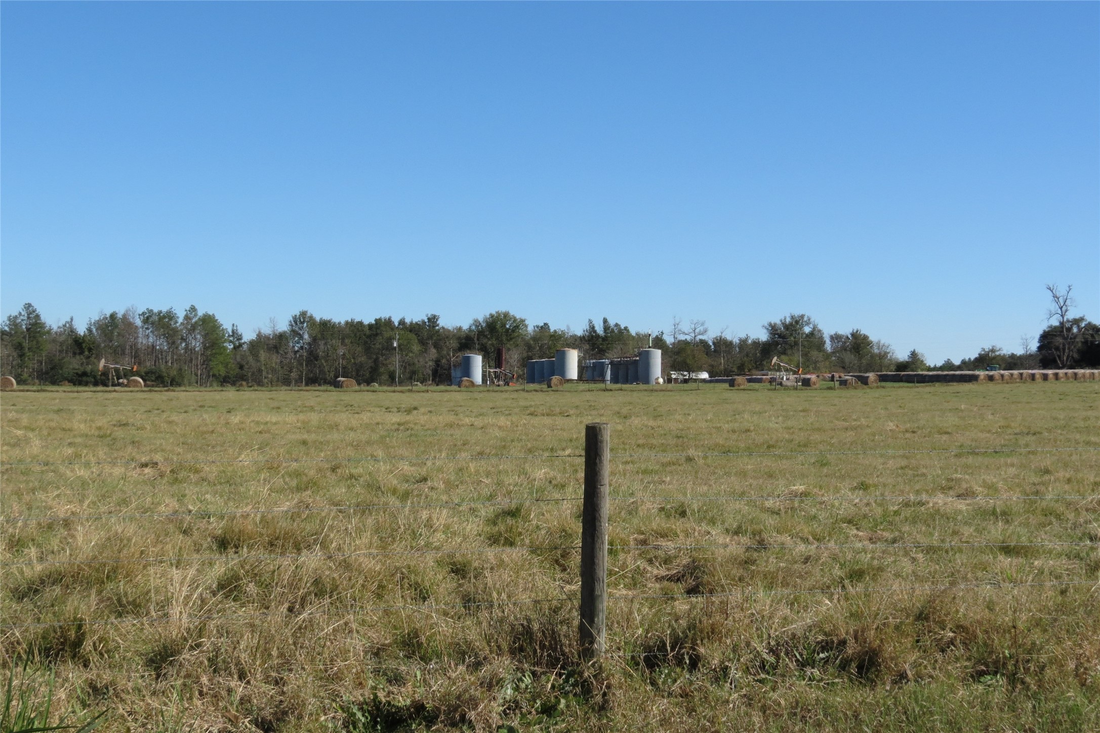 343 Evie Davidson Road Groveton, TX 75845 - Photo 11 of 13 a view of a lake with houses in the back