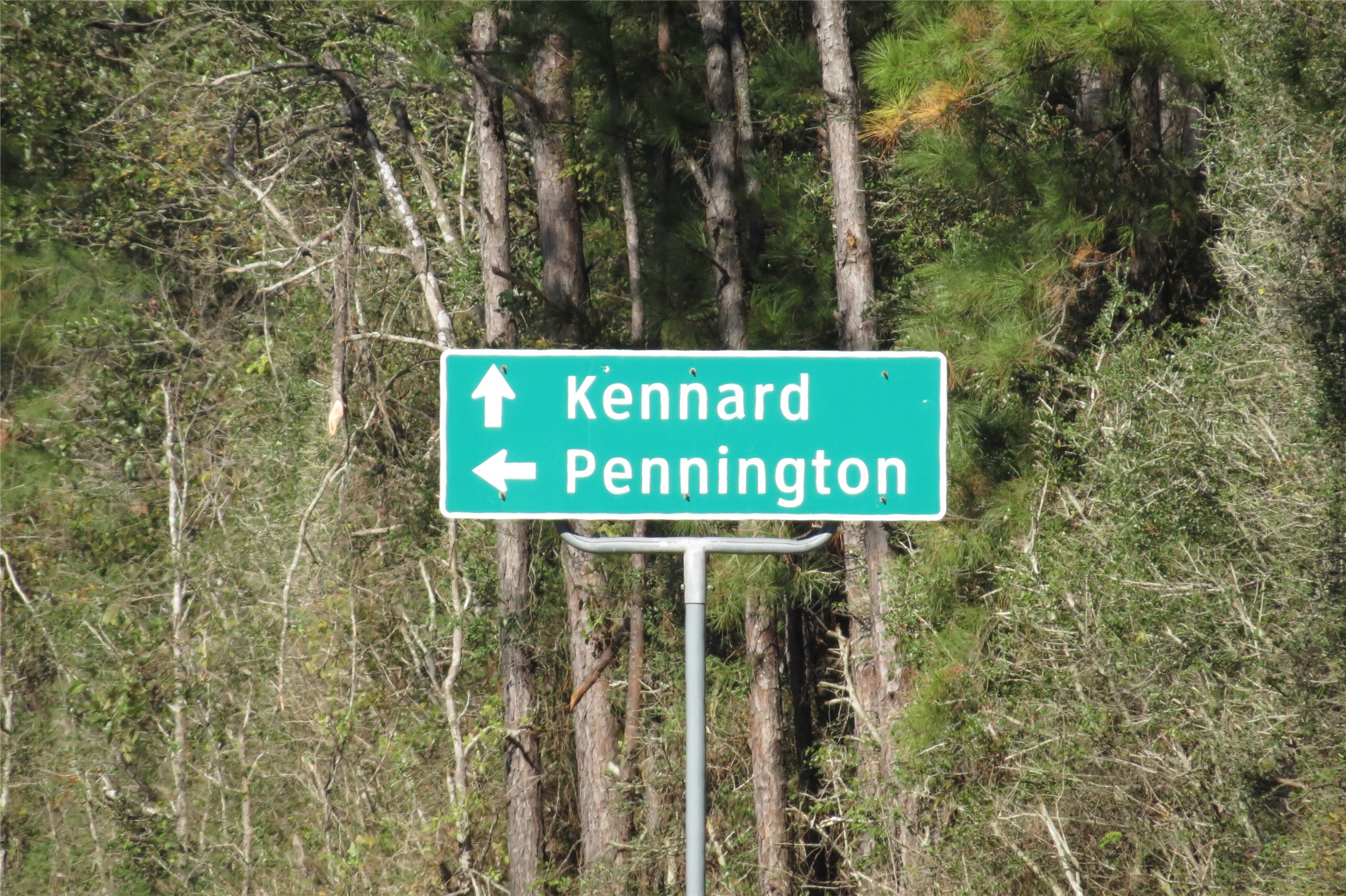 343 Evie Davidson Road Groveton, TX 75845 - Photo 13 of 13 a sign broad on the side of the road