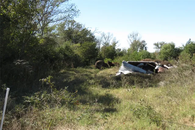 a view of a field of grass and trees