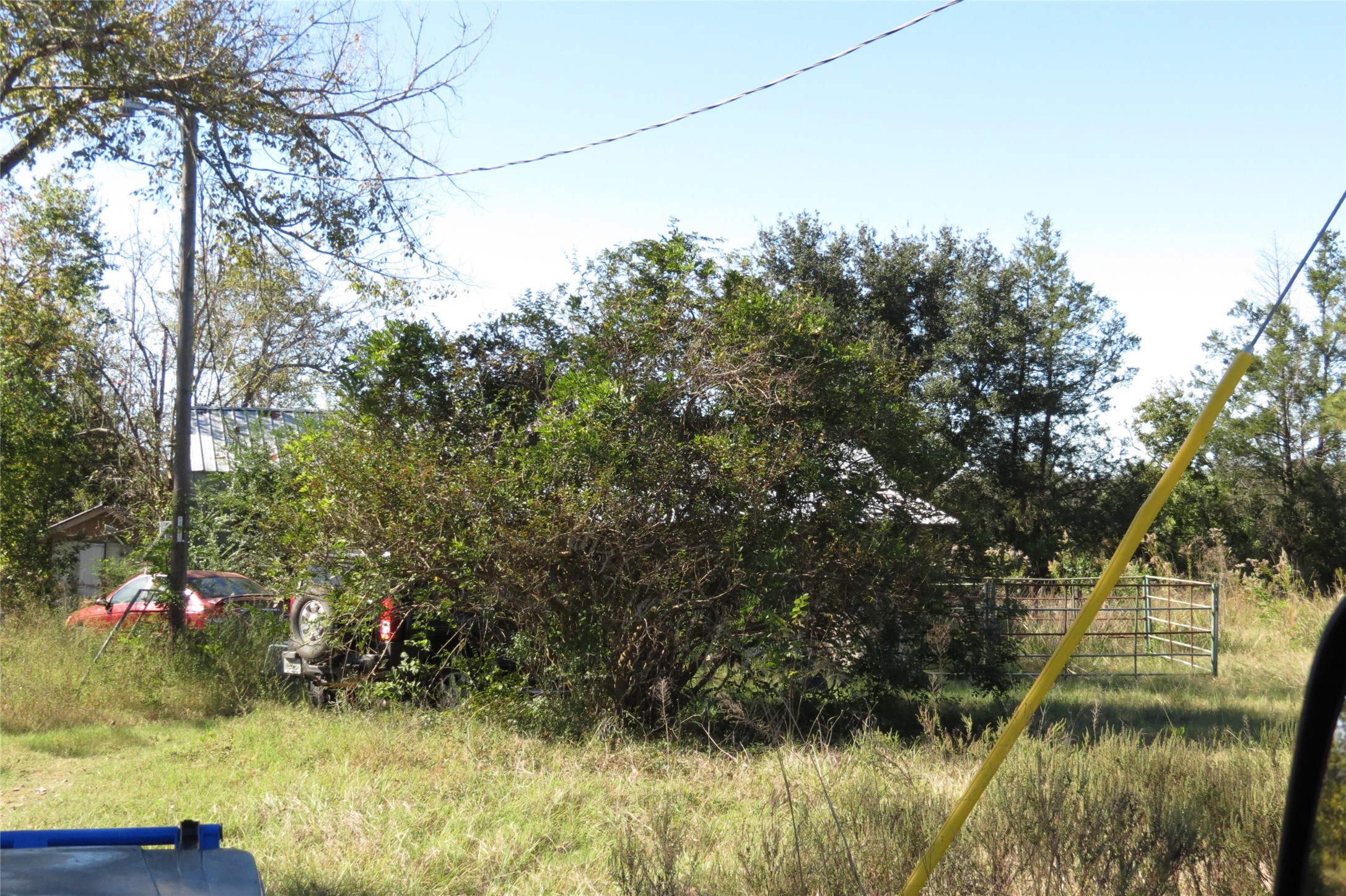 343 Evie Davidson Road Groveton, TX 75845 - Photo 7 of 13 a backyard of a house with lots of green space