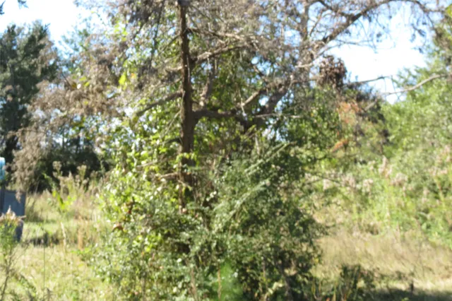 a view of swimming pool with a yard