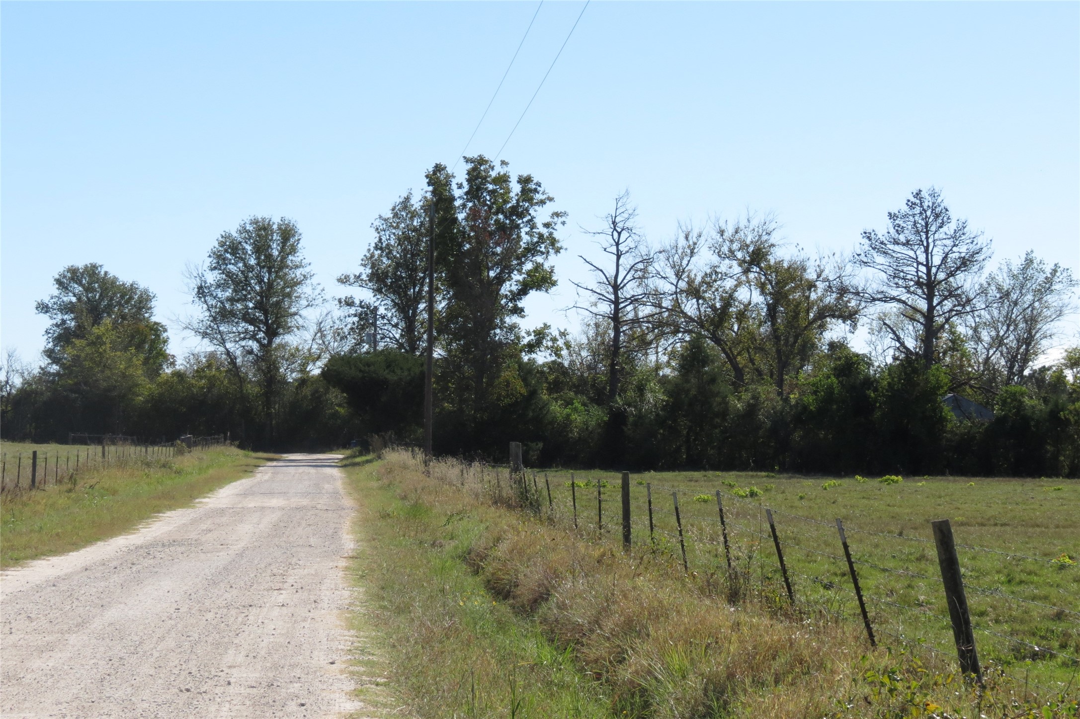 343 Evie Davidson Road Groveton, TX 75845 - Photo 10 of 13 a view of swimming pool with a yard
