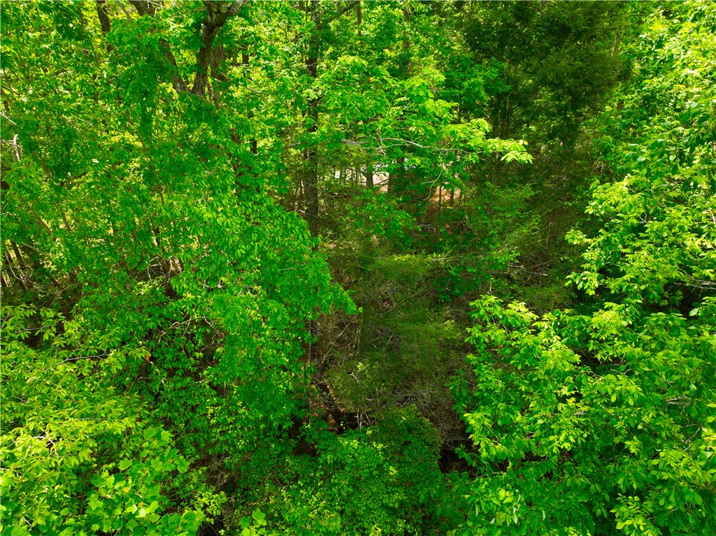 183 Chauga Valley Road Westminster, SC 29693 - Photo 13 of 31