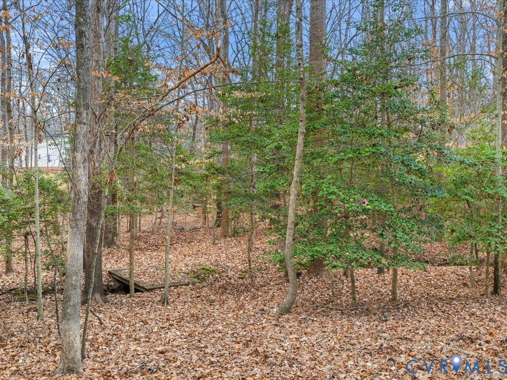 10221 North Donegal Road Chesterfield, VA 23832 - Photo 36 of 41 a backyard of a house with lots of green space