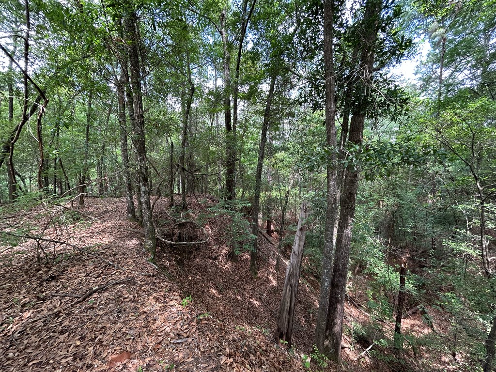 10907-44 -ac) Cty Road Hartford, AL 36344 - Photo 42 of 52