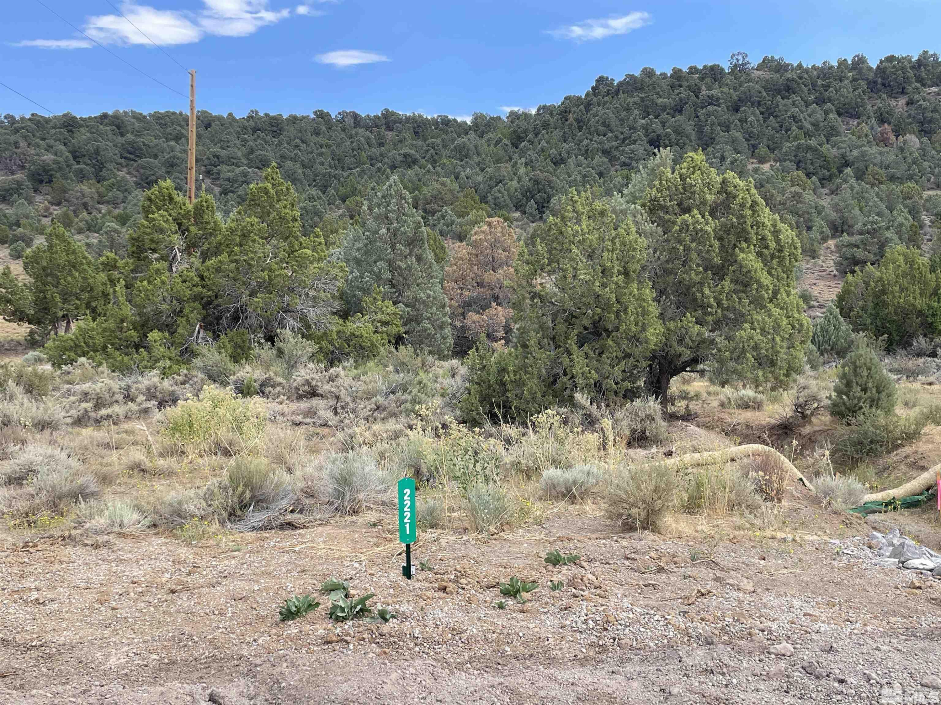 2221 Lousetown Road Reno, NV 89521 - Photo 1 of 26 a view of a dry yard