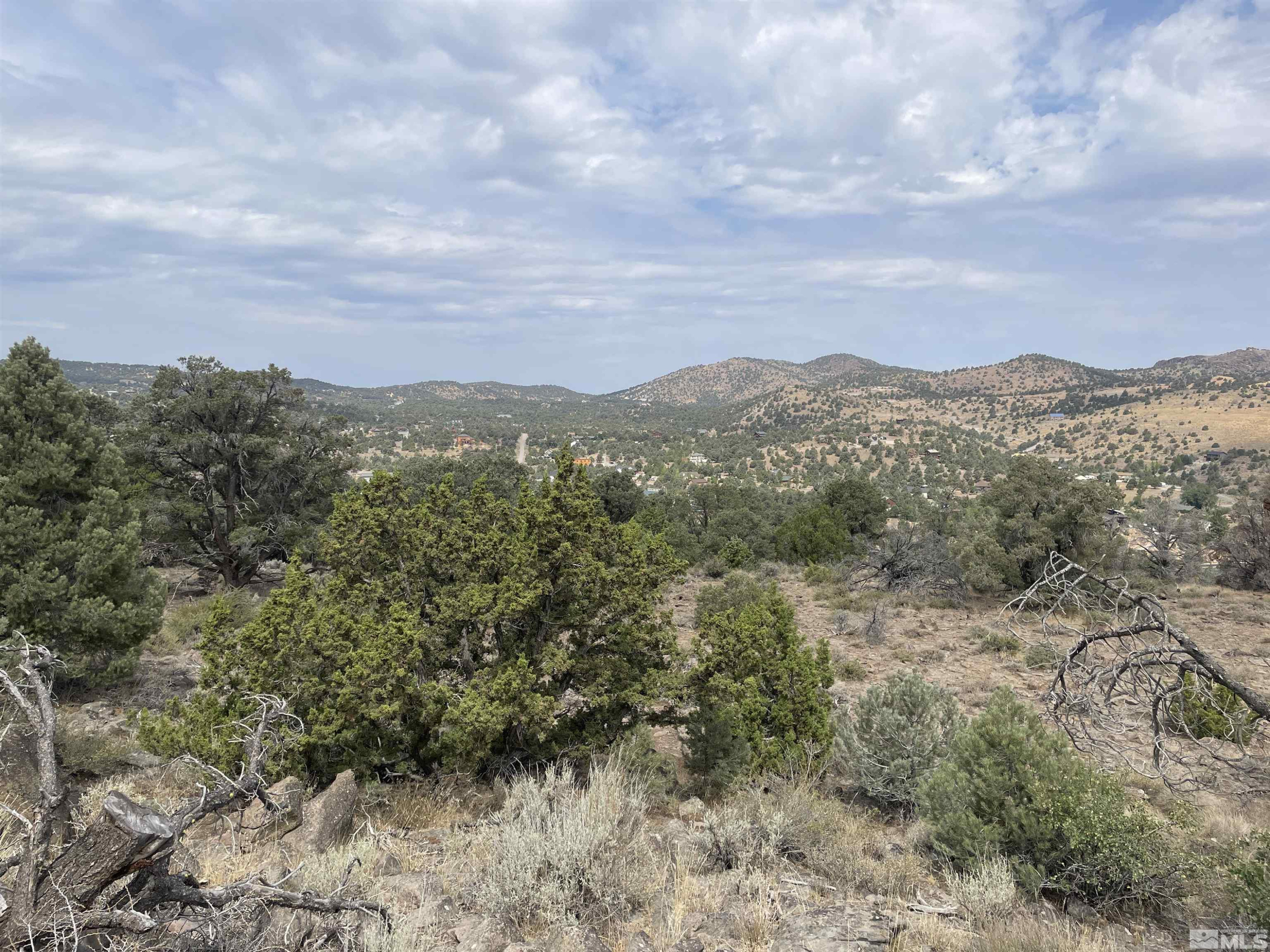 2221 Lousetown Road Reno, NV 89521 - Photo 2 of 26 a view of a mountain in the distance in a field
