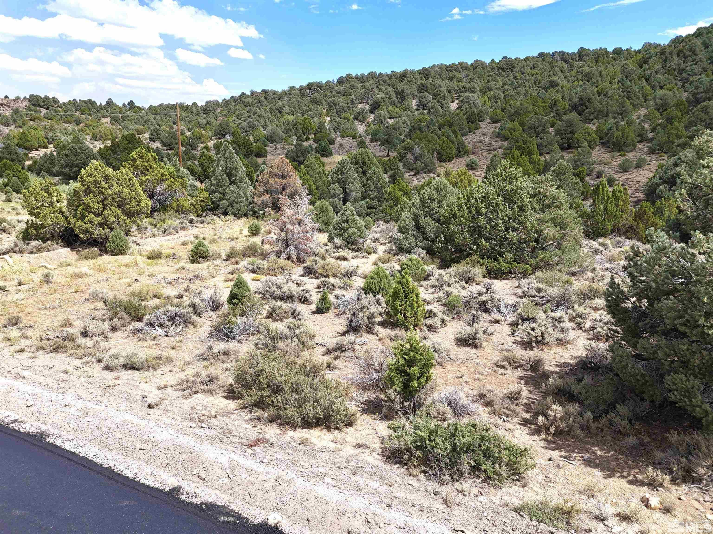 2221 Lousetown Road Reno, NV 89521 - Photo 21 of 26 a view of a yard with a mountain