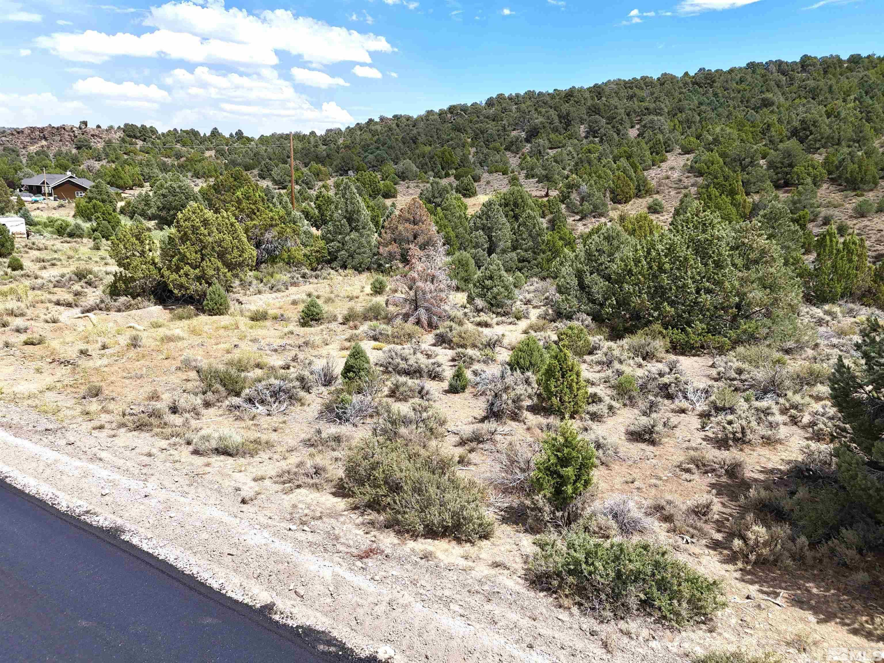 2221 Lousetown Road Reno, NV 89521 - Photo 23 of 26 a view of a yard with a mountain