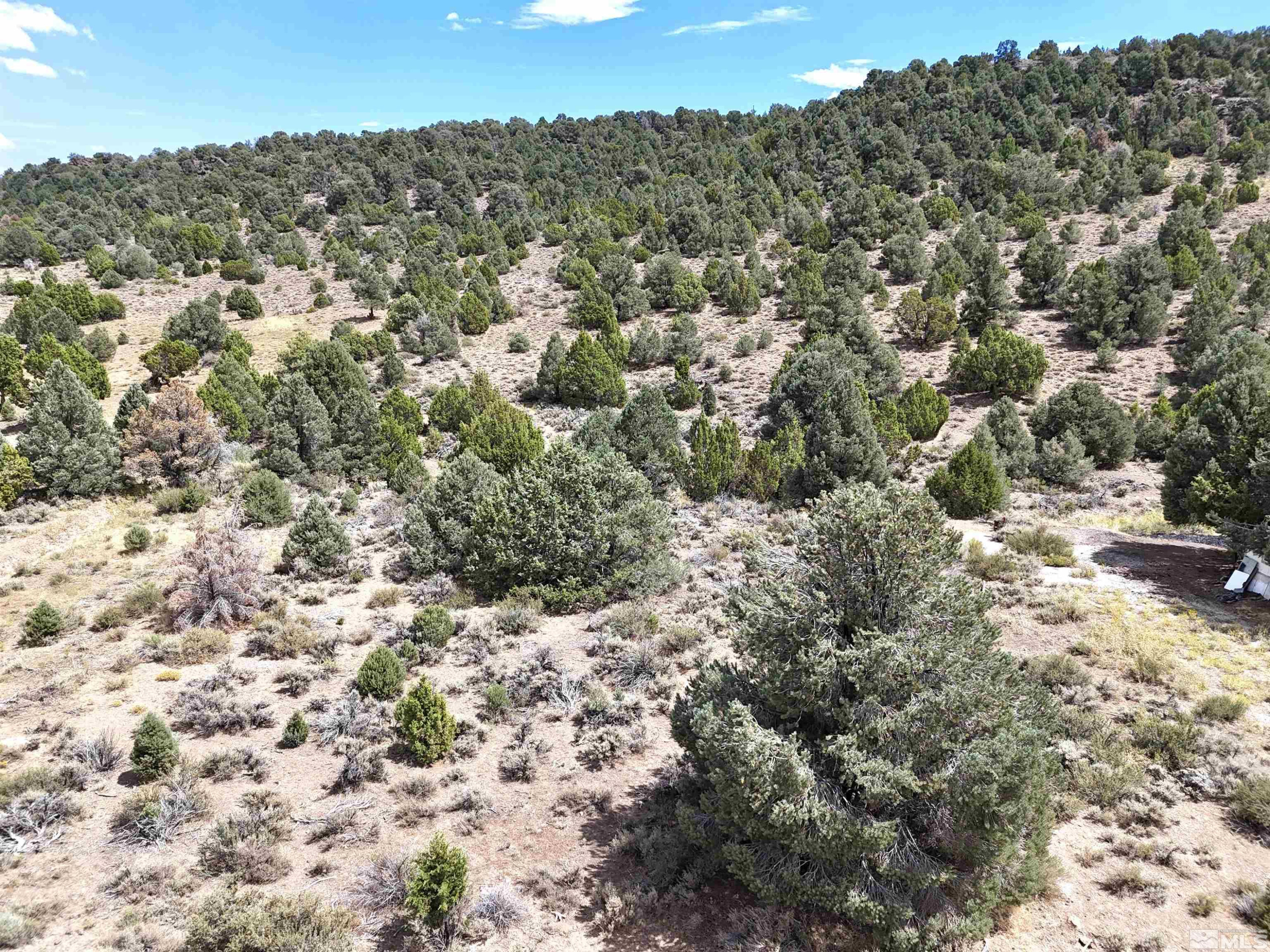 2221 Lousetown Road Reno, NV 89521 - Photo 25 of 26 a view of a covered with large trees