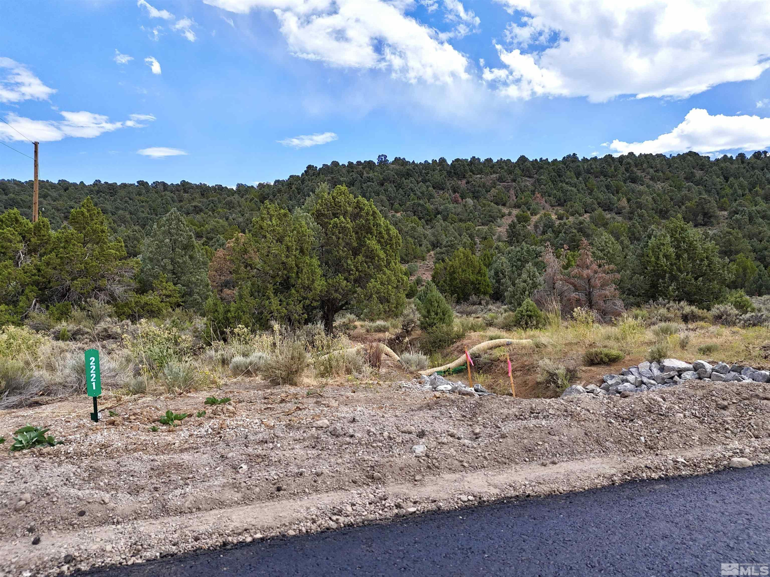 2221 Lousetown Road Reno, NV 89521 - Photo 26 of 26 a view of a forest with a street
