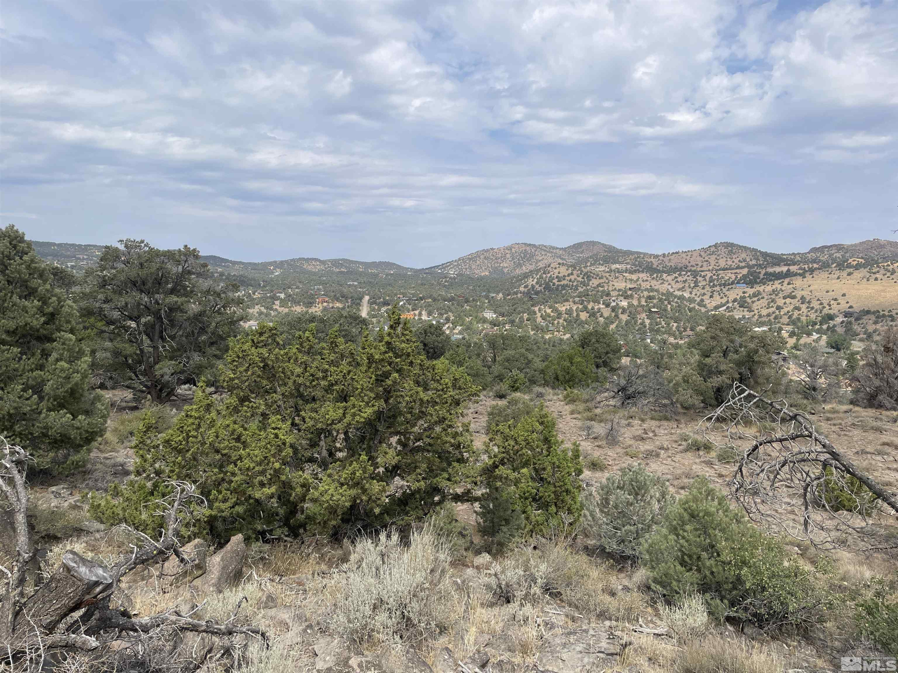 2221 Lousetown Road Reno, NV 89521 - Photo 3 of 26 a view of a mountain in the distance in a field