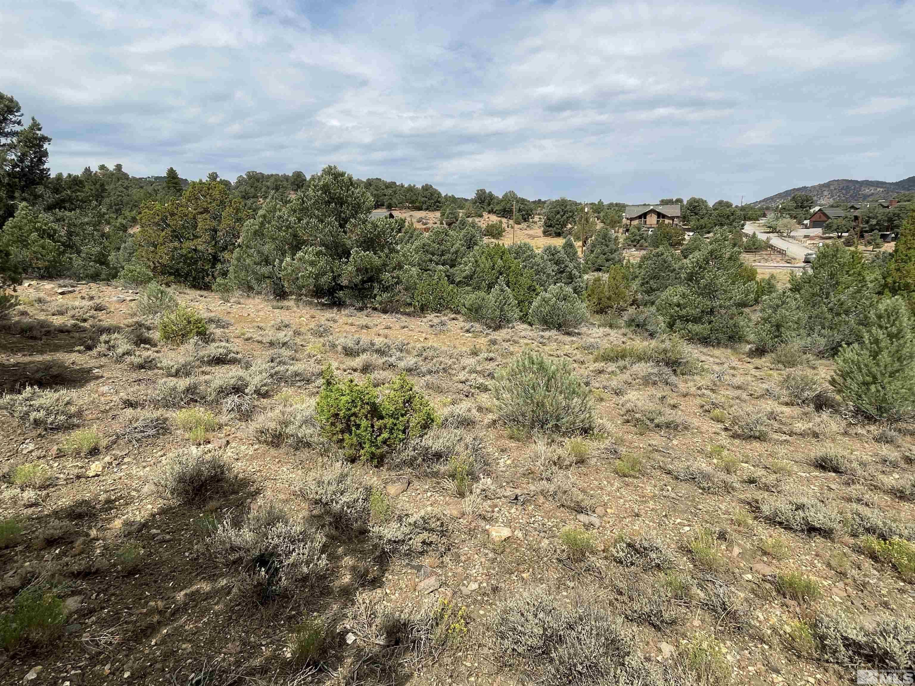 2221 Lousetown Road Reno, NV 89521 - Photo 4 of 26 a view of a dry yard with mountains in the background