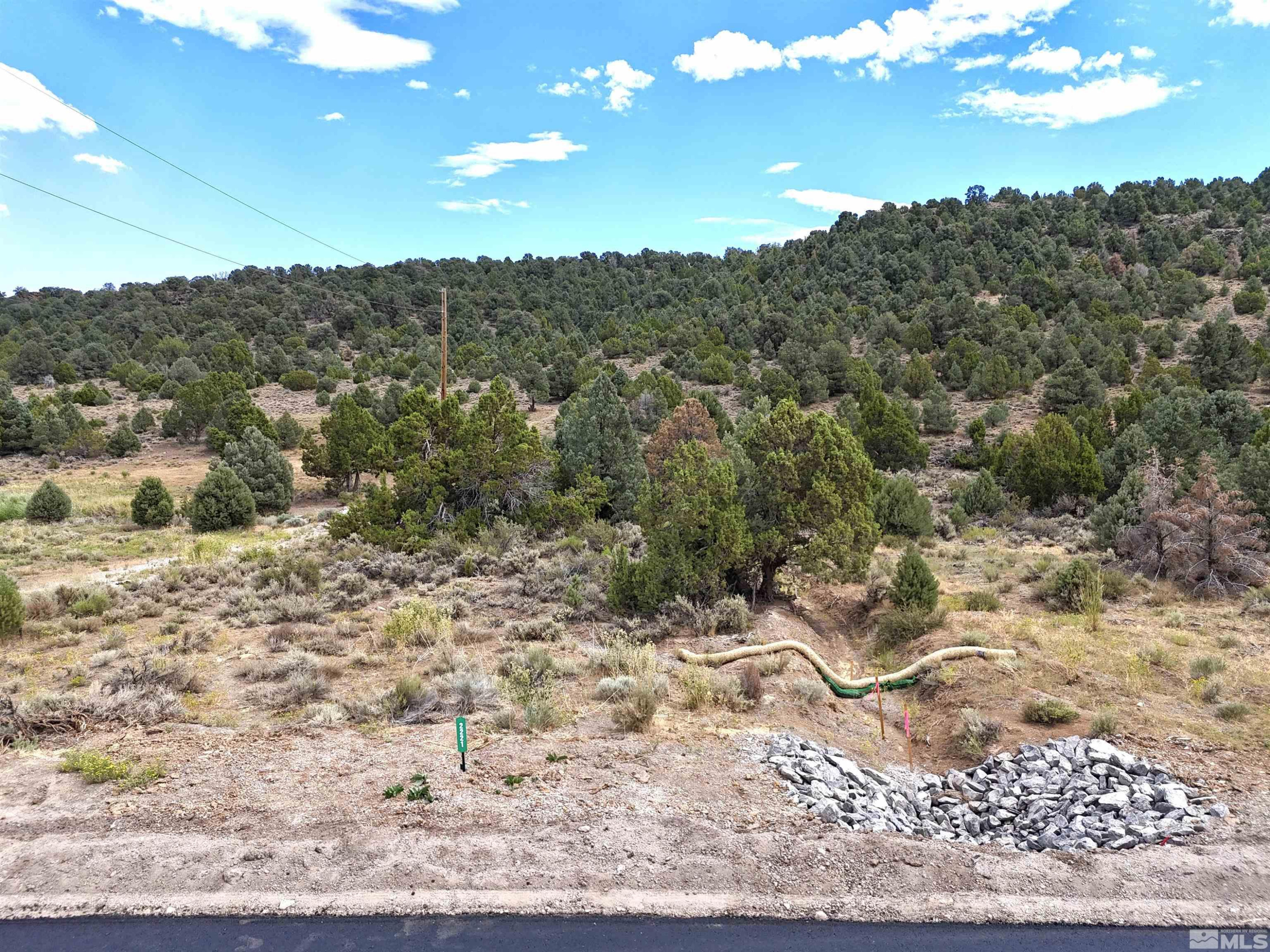 2221 Lousetown Road Reno, NV 89521 - Photo 7 of 26 a view of a city