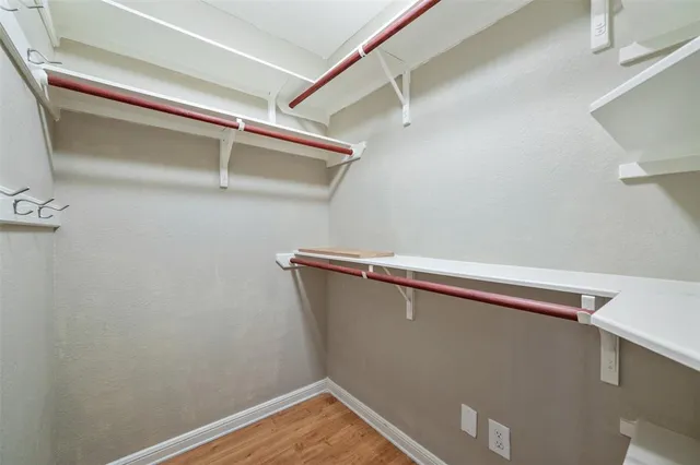 a tree in front of a house with a tree