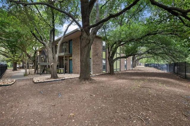 a tree in the garden with a bench