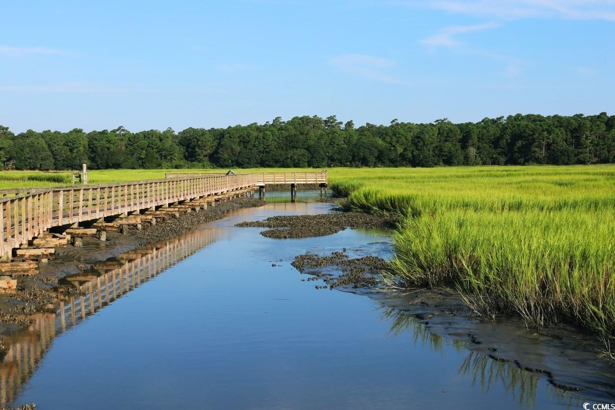 Tbd Anna Marie Way Murrells Inlet, SC 29576 - Photo 21 of 25