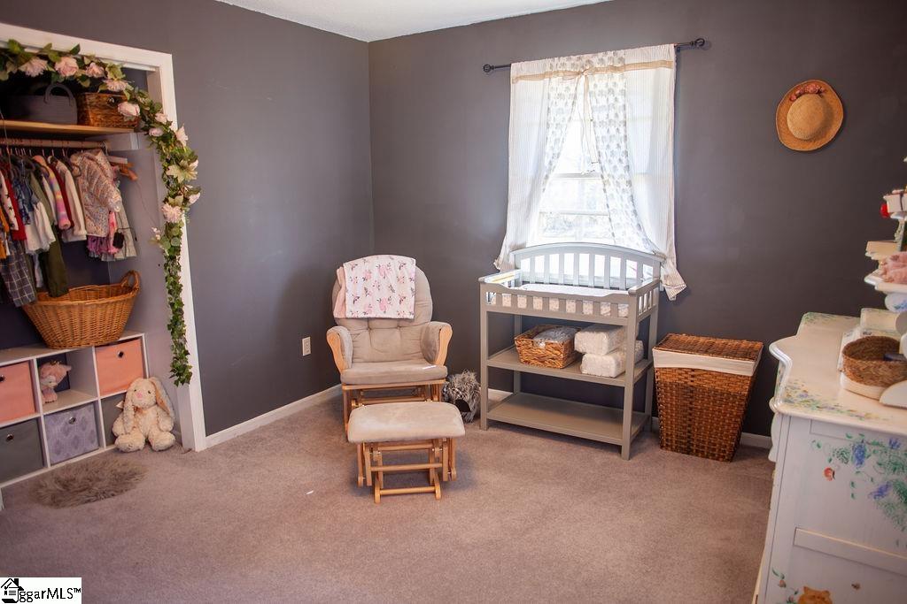 2997 Deck Road Gray Court, SC 29645 - Photo 11 of 19