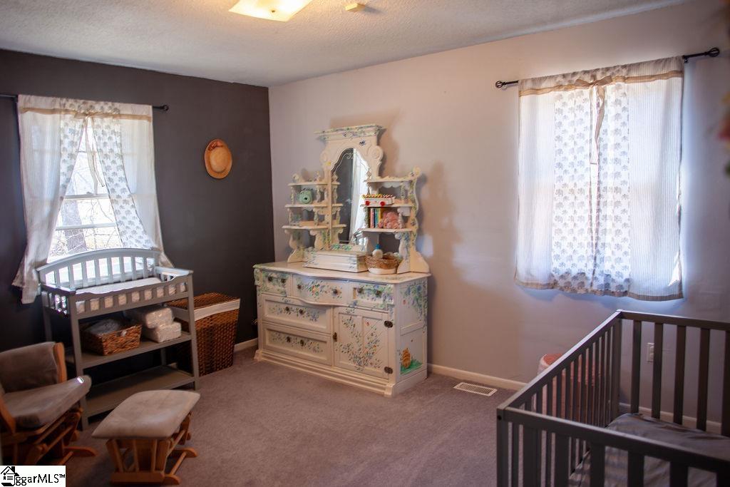 2997 Deck Road Gray Court, SC 29645 - Photo 10 of 19