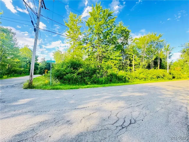 $32,500 | 0 Sycamore Avenue, Evans, NY 14006