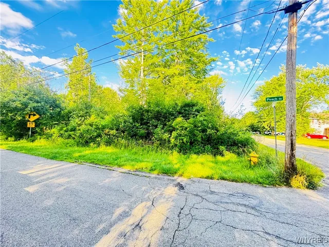 $32,500 | 0 Sycamore Avenue, Evans, NY 14006