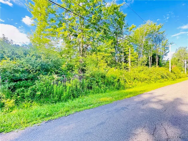 $32,500 | 0 Sycamore Avenue, Evans, NY 14006