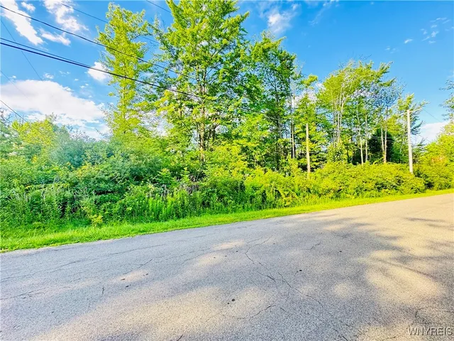 $32,500 | 0 Sycamore Avenue, Evans, NY 14006