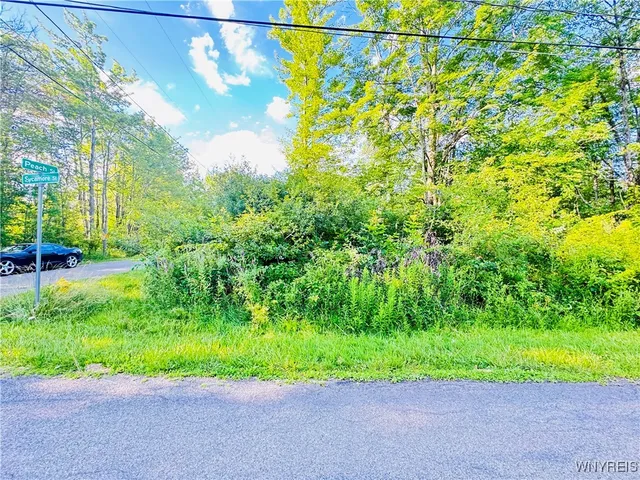 $32,500 | 0 Sycamore Avenue, Evans, NY 14006