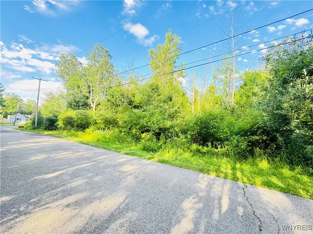 $32,500 | 0 Sycamore Avenue, Evans, NY 14006