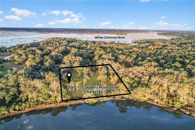 $250,000 | Lot 210 Coopers Landing Drive Northeast, Townsend, GA 31331