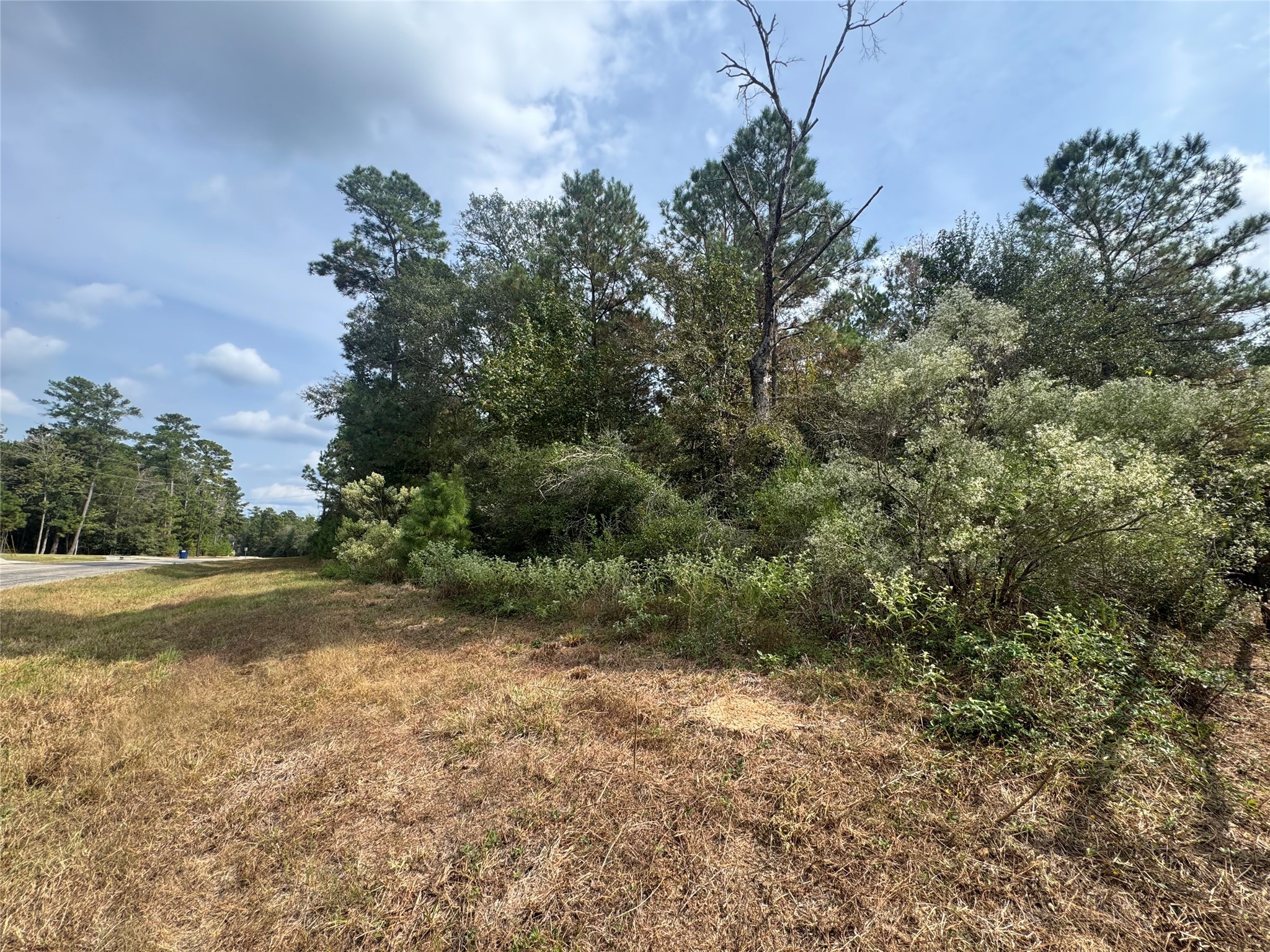 9-17-3b Winchester Road Huntsville, TX 77340 - Photo 2 of 27 a view of a yard with a tree