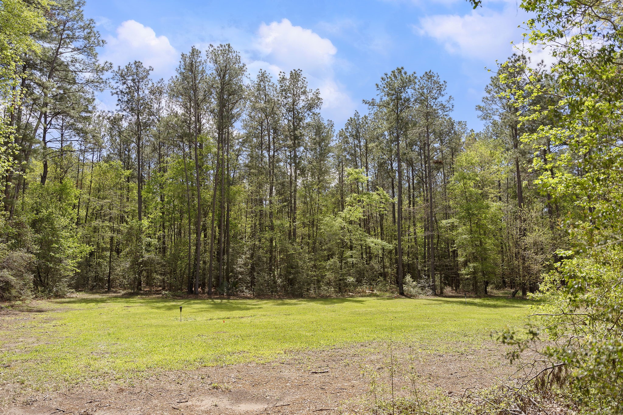 9-17-3b Winchester Road Huntsville, TX 77340 - Photo 26 of 27 a view of a golf course with a trees