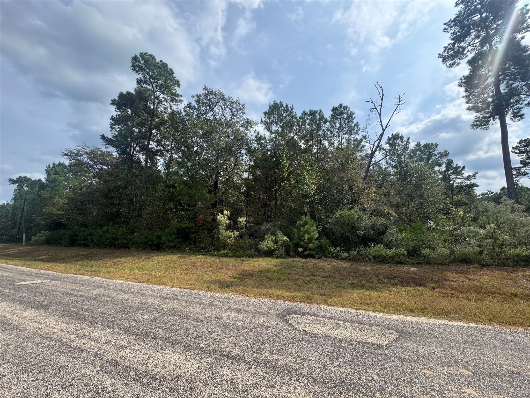 9-17-3b Winchester Road Huntsville, TX 77340 - Photo 5 of 27 a view of a swimming pool with a yard
