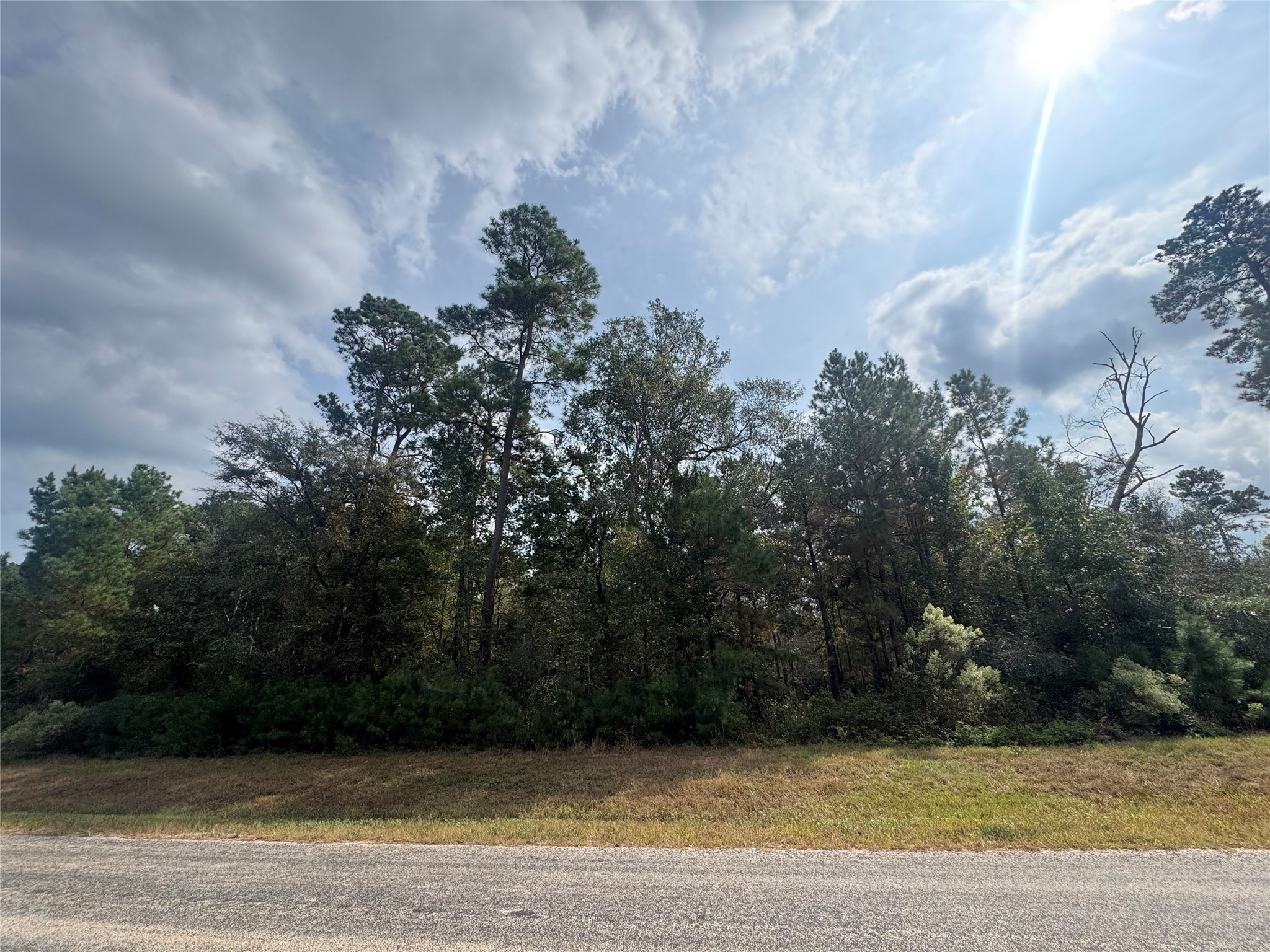 9-17-3b Winchester Road Huntsville, TX 77340 - Photo 6 of 27 a view of a yard
