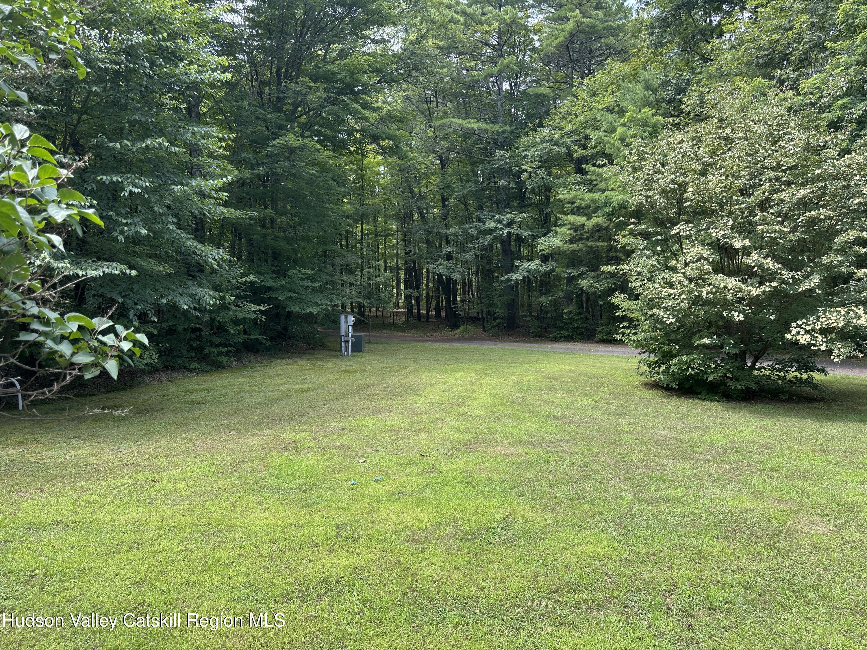 166 Falls View Lane Purling, NY 12470 - Photo 11 of 26 a view of a green yard