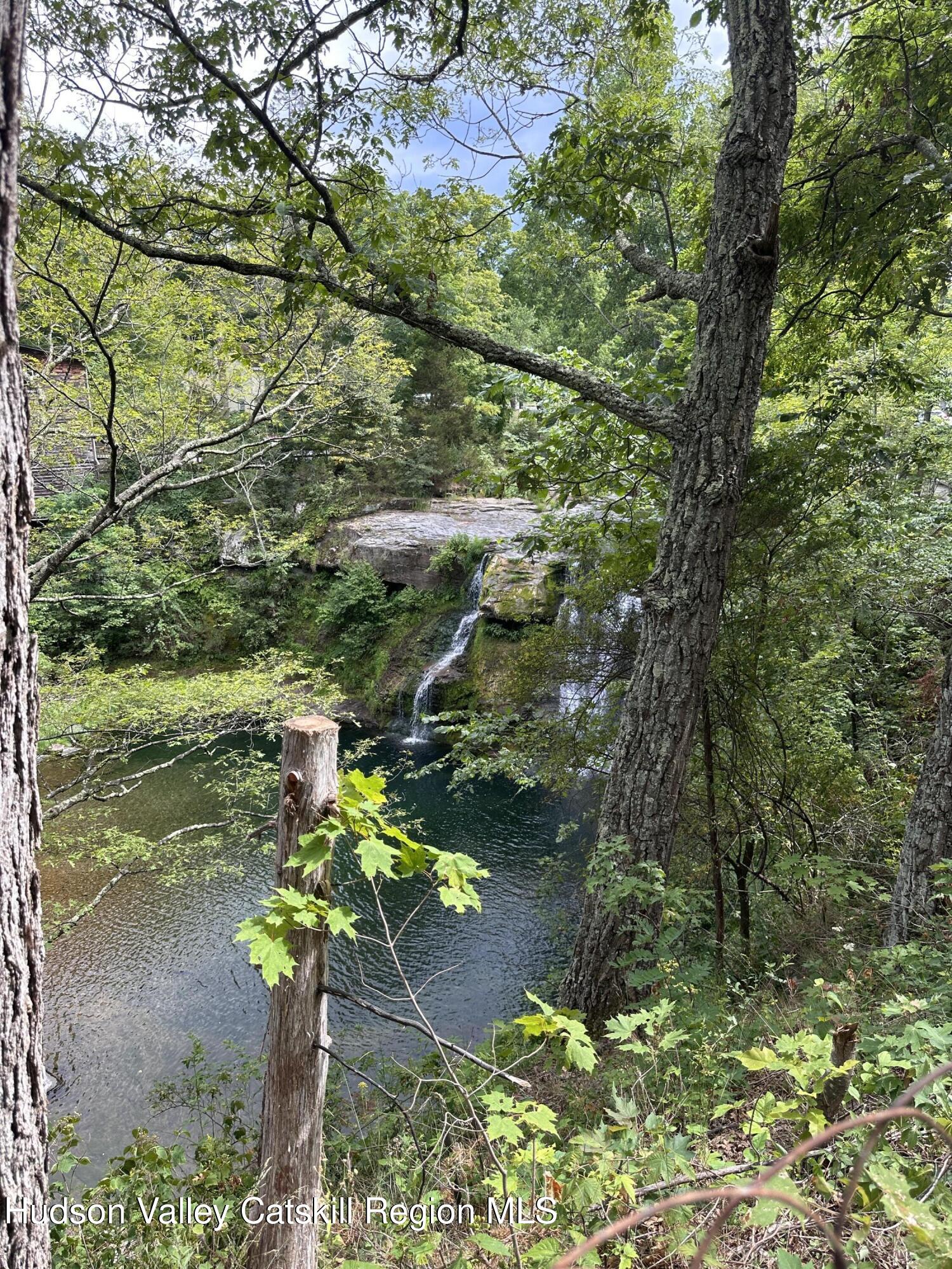 166 Falls View Lane Purling, NY 12470 - Photo 26 of 26 a plant that is in a yard