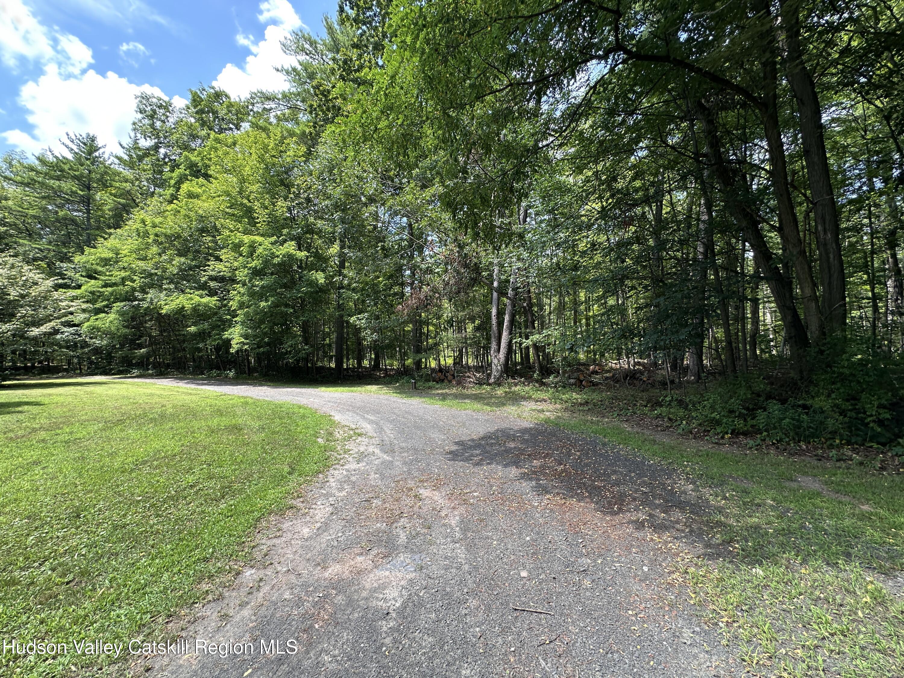 166 Falls View Lane Purling, NY 12470 - Photo 9 of 26 a view of a yard with a tree