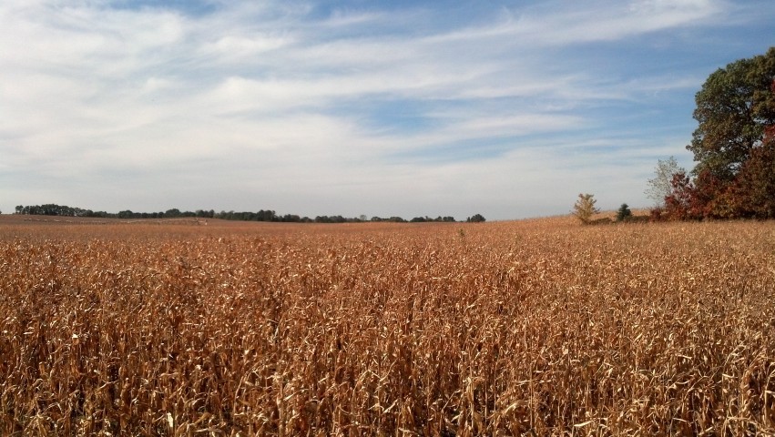 W18803 Saw Mill Road Galesville, WI 54630 - Photo 1 of 1 land 1