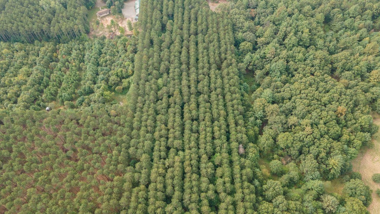 N6701 14th Avenue Almond, WI 54909 - Photo 15 of 26