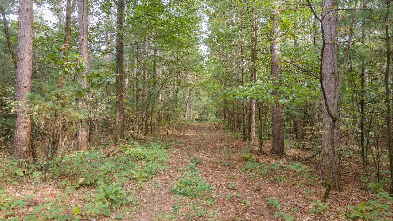 N6701 14th Avenue Almond, WI 54909 - Photo 19 of 26