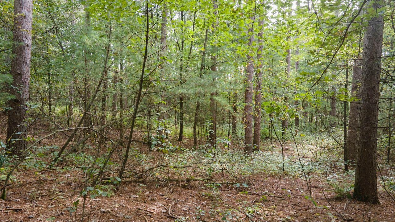 N6701 14th Avenue Almond, WI 54909 - Photo 20 of 26