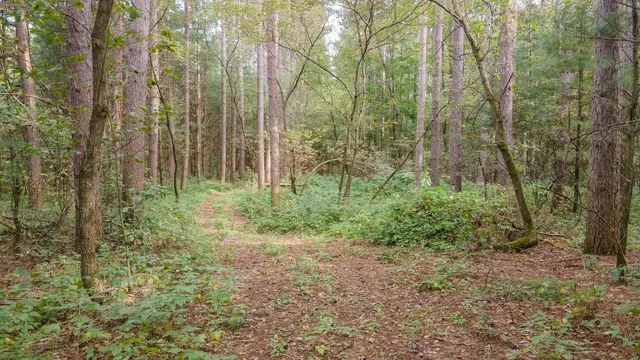 $179,000 | N6701 14th Avenue, Almond, WI 54909