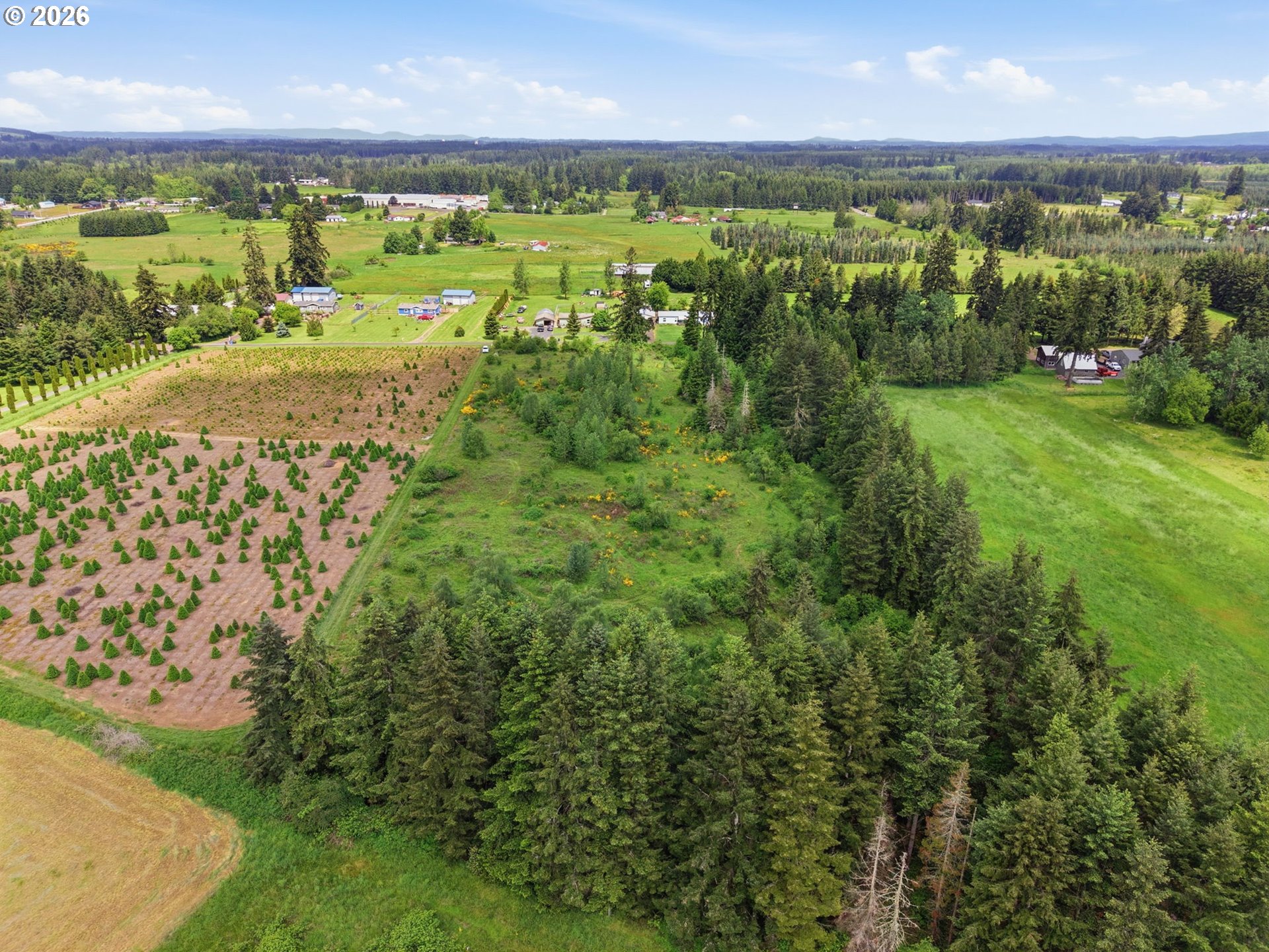 1 Shiloh Road Winlock, WA 98596 - Photo 10 of 12