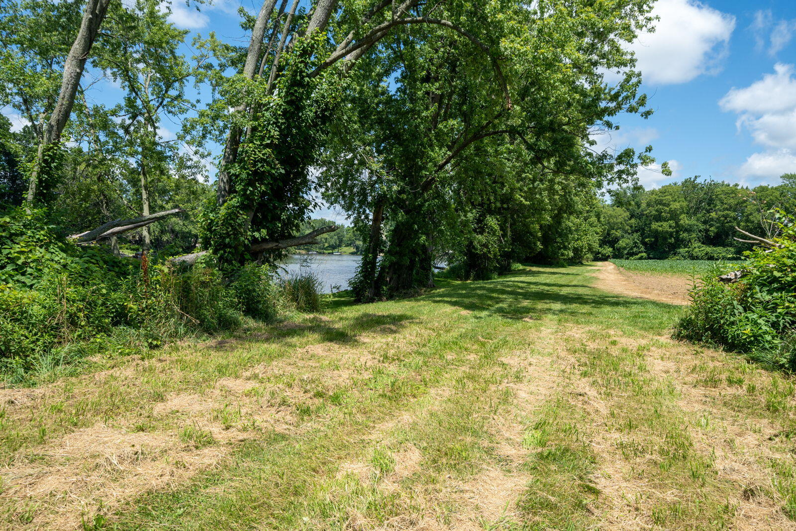 3100 River Road Sodus, MI 49126 - Photo 20 of 69 3100 River Rd-20