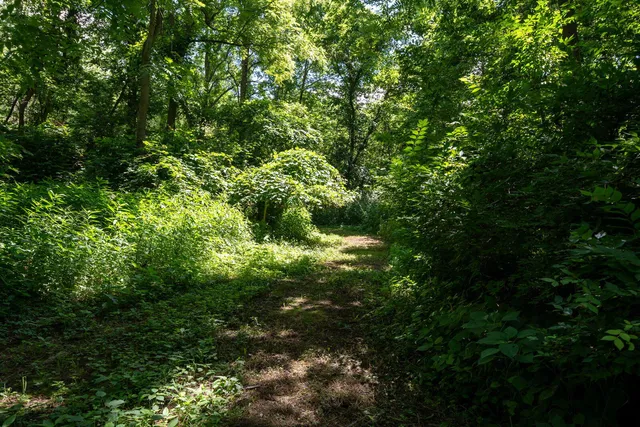 $699,999 | 3100 River Road, Sodus, MI 49126