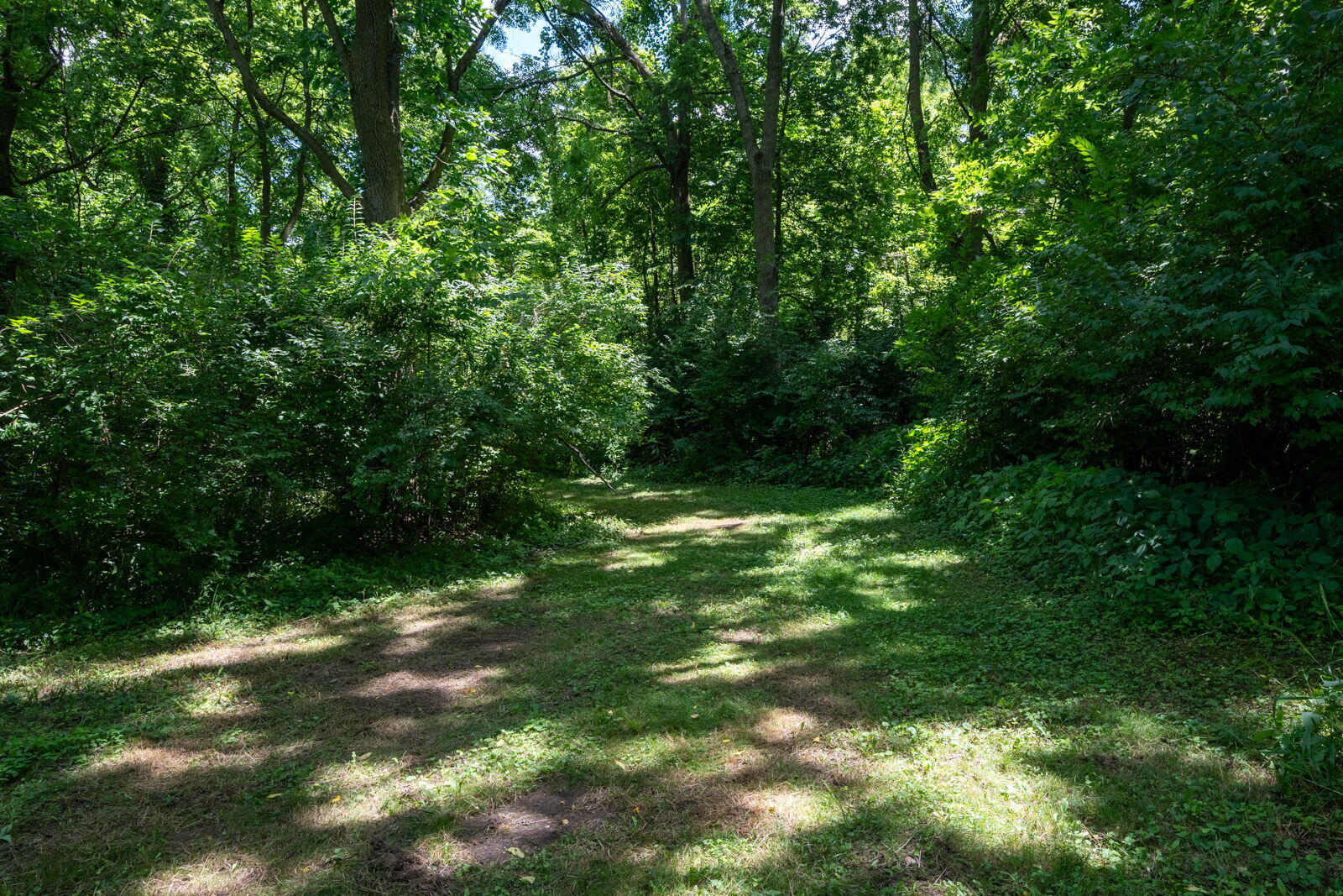 3100 River Road Sodus, MI 49126 - Photo 23 of 69 3100 River Rd-23