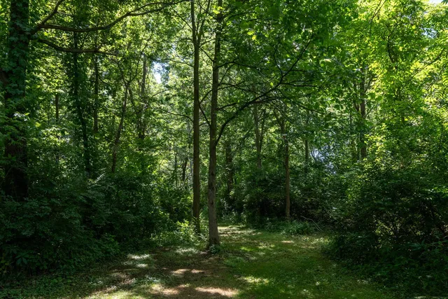 $699,999 | 3100 River Road, Sodus, MI 49126